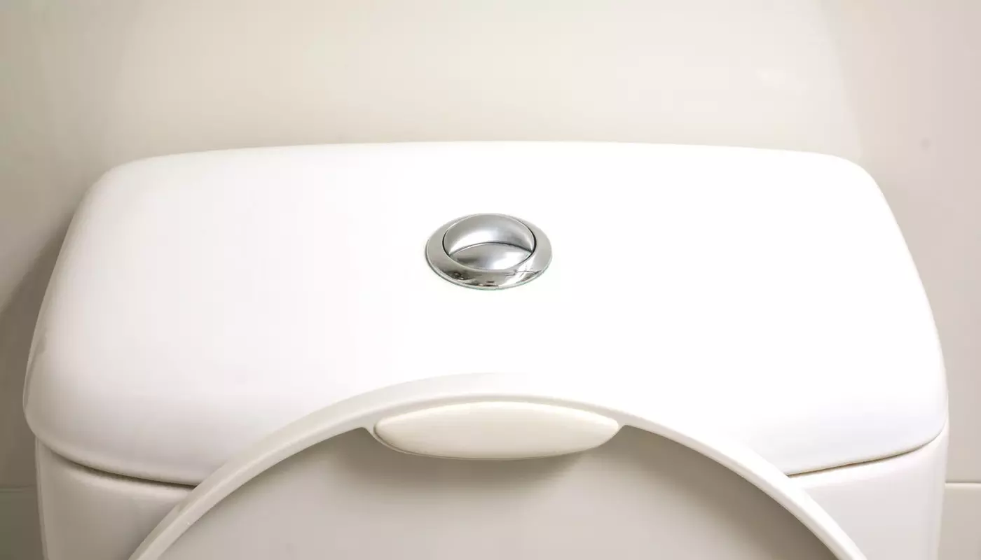 Dual flush buttons